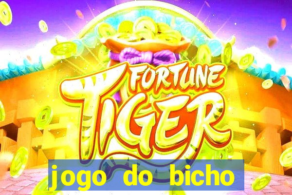 jogo do bicho crash bingo